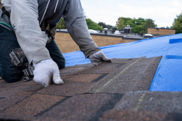 Best Storm Damage Roof Repair  in St Pauls, NC