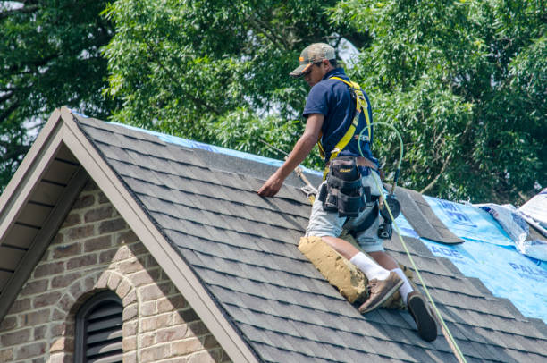 Professional Roofing Contractor in St Pauls, NC